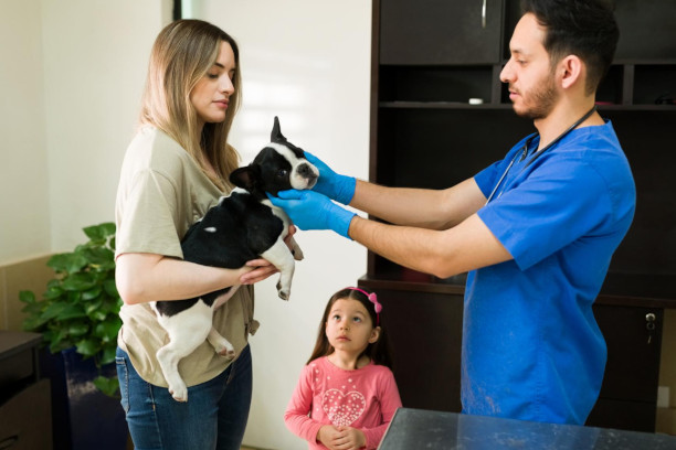 Atención veterinaria con integración PACS: acceso y gestión de estudios radiológicos Veterinario examinando a una mascota frente a su dueña, con ayuda de imágenes médicas digitales